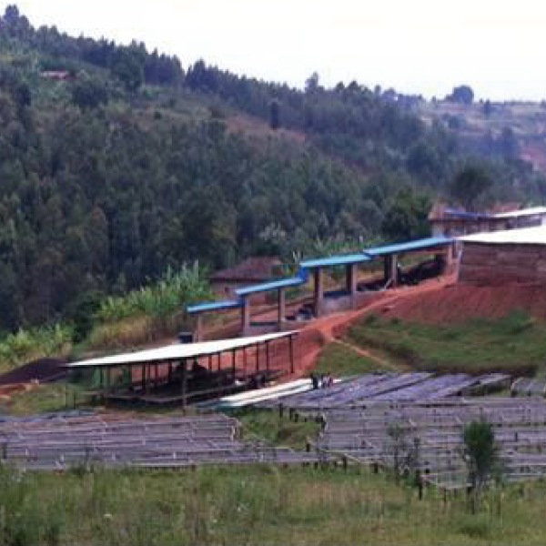 11θƦ쥯ۥ  ʥ 100g