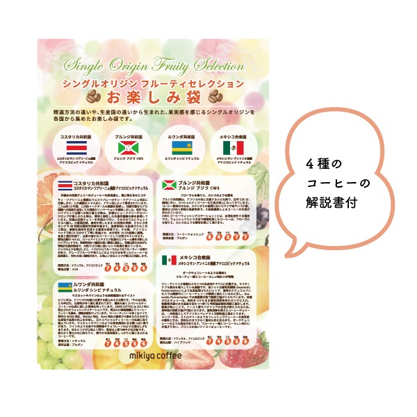 シングルオリジンコーヒー フルーティセレクションお楽しみ袋 100g×4
