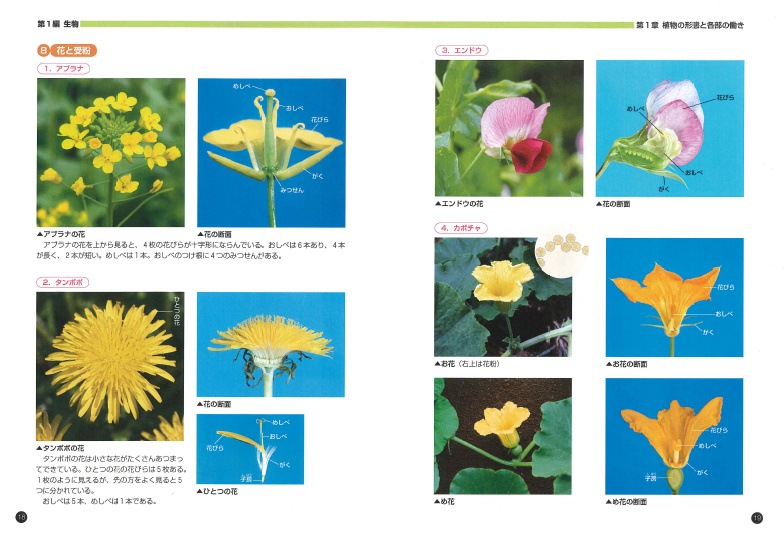 理科実験資料集 改訂新版 | 学習参考書 理科,6年 | | みくに出版 Web Shop