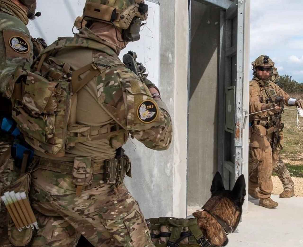 ICEPLATE Gen 3 Plate Carrier Water Bladder �ϥ��ɥ졼����� �ƹ�Qore Performance �ƹ��ü�����Ǽ��