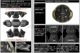 HALO 3 BALLISTIC HELMET LINER ƹ͢е§ EARоʡ ƹ Delta Three Oscar ʪ إåȥѥå Ʒѥ֥