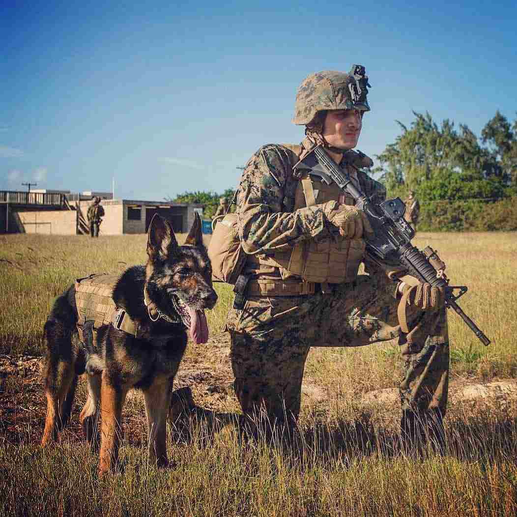 COMMAND TACTICAL IMPACT / COYOTE�����������ǥ����顼��