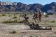 TACTICAL PRO COMMAND �����ƥ�����ץ� �ե��åȴ��Τ��륹��������ɥ�ǥ��IRON CLAD���������ǥ����顼��