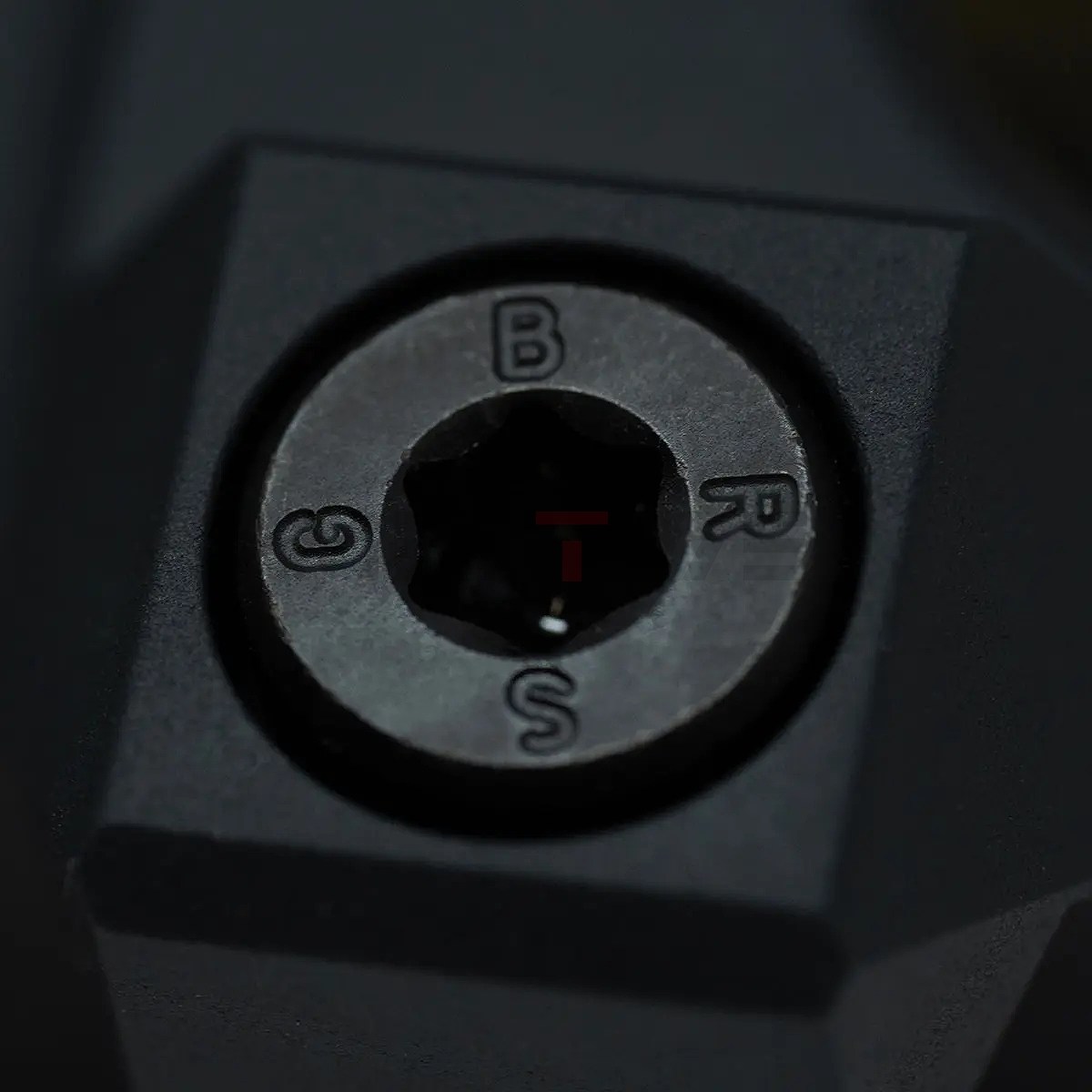 GBRS GROUP LERNA MOUNT KIT �ƹ��ʪ GBRS GROUP