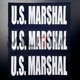 US MARSHAL ID Placard 4"x 10" ��åڥ� �ƹ��ʪ �ݥꥹ��åڥ� �ƹ�ˡ���Ե���Ǽ�ʥ֥���