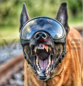 DARKFIGHTER K9 Helmet Kit - Gen5 Dark Systems ƹ񷳻Ǽʥ֥ Ź