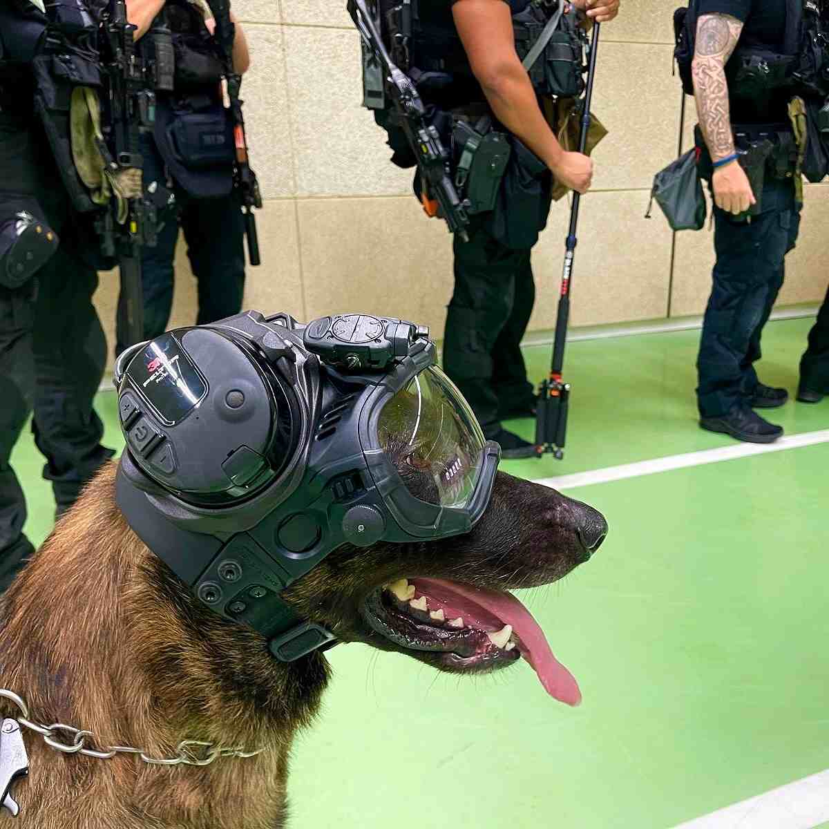 DARKFIGHTER K9 Helmet Kit - Gen5 Dark Systems ƹ񷳻Ǽʥ֥ Ź