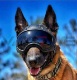 DARKFIGHTER K9 Helmet Kit - Gen5 Dark Systems ƹ񷳻Ǽʥ֥ Ź