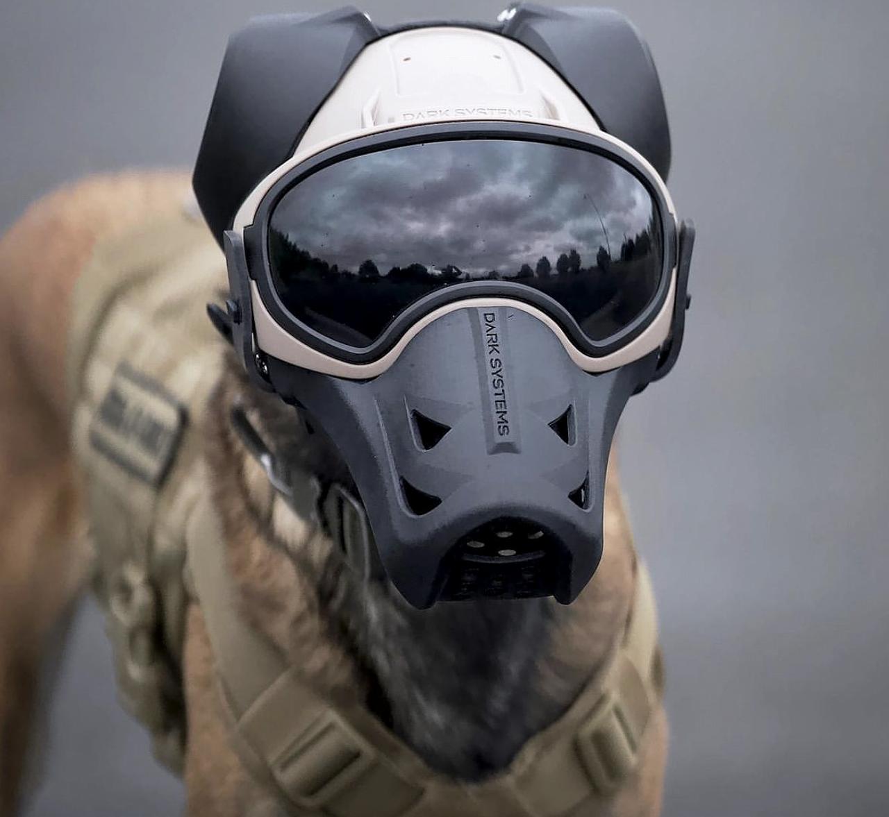 PASSIVE EAR COVERS-�ѥå��֥��䡼���С� Dark Systems �ƹ񷳻�����Ǽ�ʥ֥��� ����������Ź