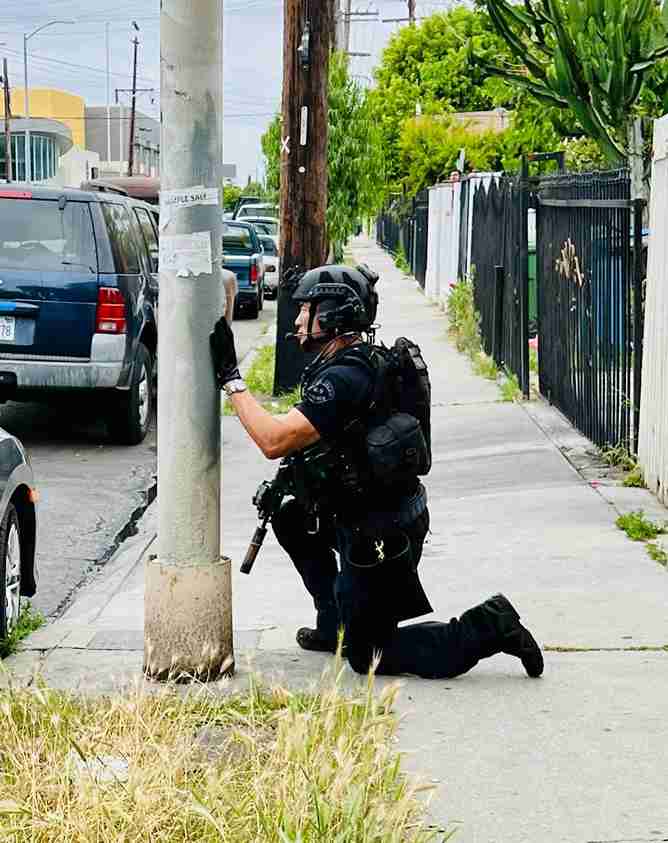 ZEPHYR MK2 GTX MID - COYOTE OP ���ե��� �����ƥ�����֡��� / LOWA PROFESSIONAL