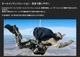 PROTECTIVE MUZZLE -�Ƽ� �ޥ���ʸ�ʭ�˥���å� Dark Systems �ƹ񷳻�����Ǽ�ʥ֥��� ����������Ź