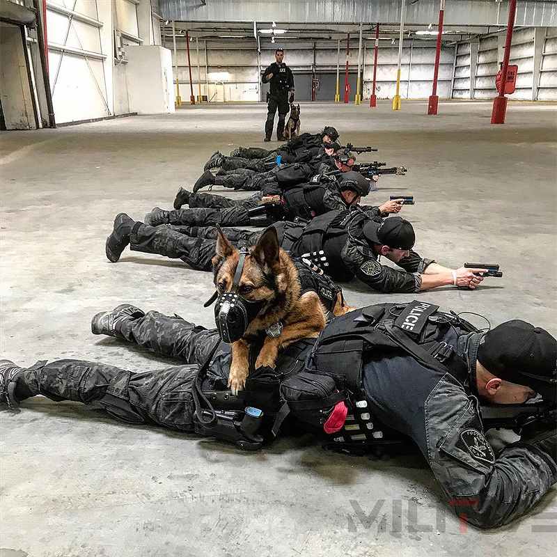 ALPHA FURY 6 �Ĥ����ɿ� ����ե��ե塼�꡼6 ORIGINAL SWAT �����ƥ����� ���ˡ����� ���������������� ��1ǯ���ݾ��ա�