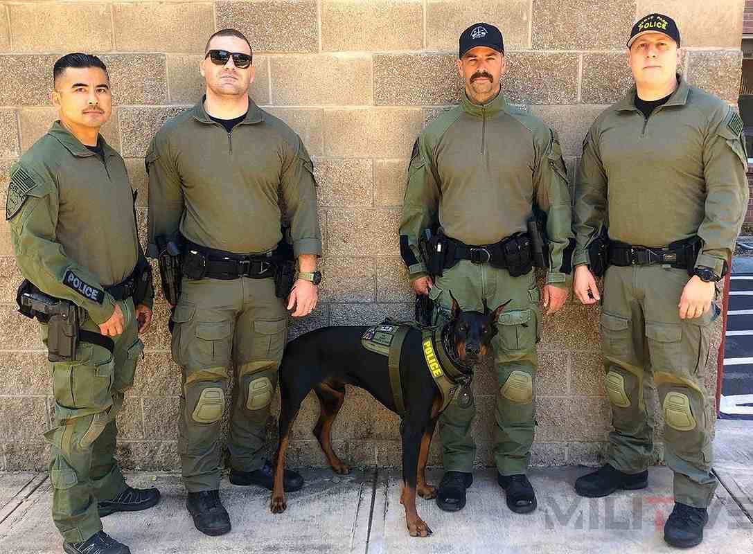 ALPHA FURY 3 ORIGINAL SWAT �����ƥ����� ���ˡ����� ���������������� ��1ǯ���ݾ��ա�