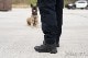 ALPHA FURY 3 ORIGINAL SWAT �����ƥ����� ���ˡ����� ���������������� ��1ǯ���ݾ��ա�