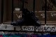 ALTAMA ���륿�� URBAN ASSAULT - LOW �º̥��顼 �����ƥ����� ���ˡ����� ������������������1ǯ���ݾ��ա�