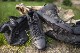ALTAMA 륿 MARITIME ASSAULT - MID  º̥顼 ƥ ˡ 1ǯݾա