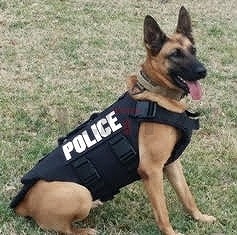 Trooper K-9 K9�ѥץ졼�ȥ���ꥢ K9 ������ ���Ѹ� / ��ʪ  �ƹ� HIGHCOM ARMOR