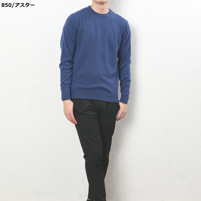 カシミヤ100％クルーネック | メンズニット | フカキミルショップonline