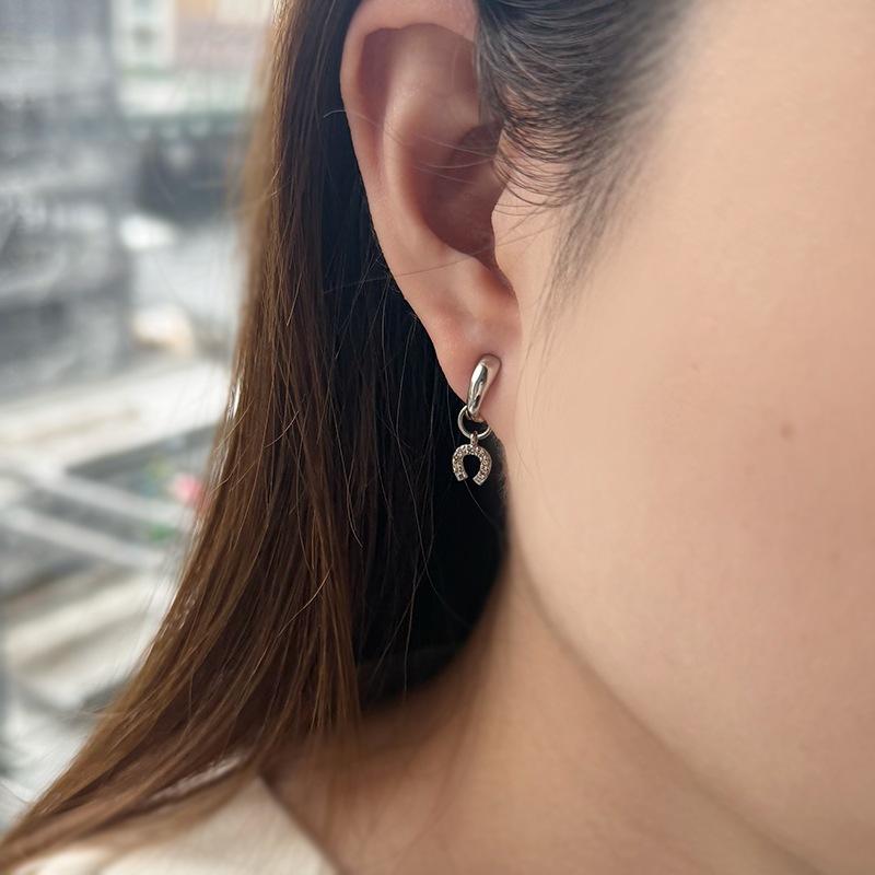 PT950 ブラウンダイヤモンド 馬蹄モチーフ チャーム BRD 約0.14ct