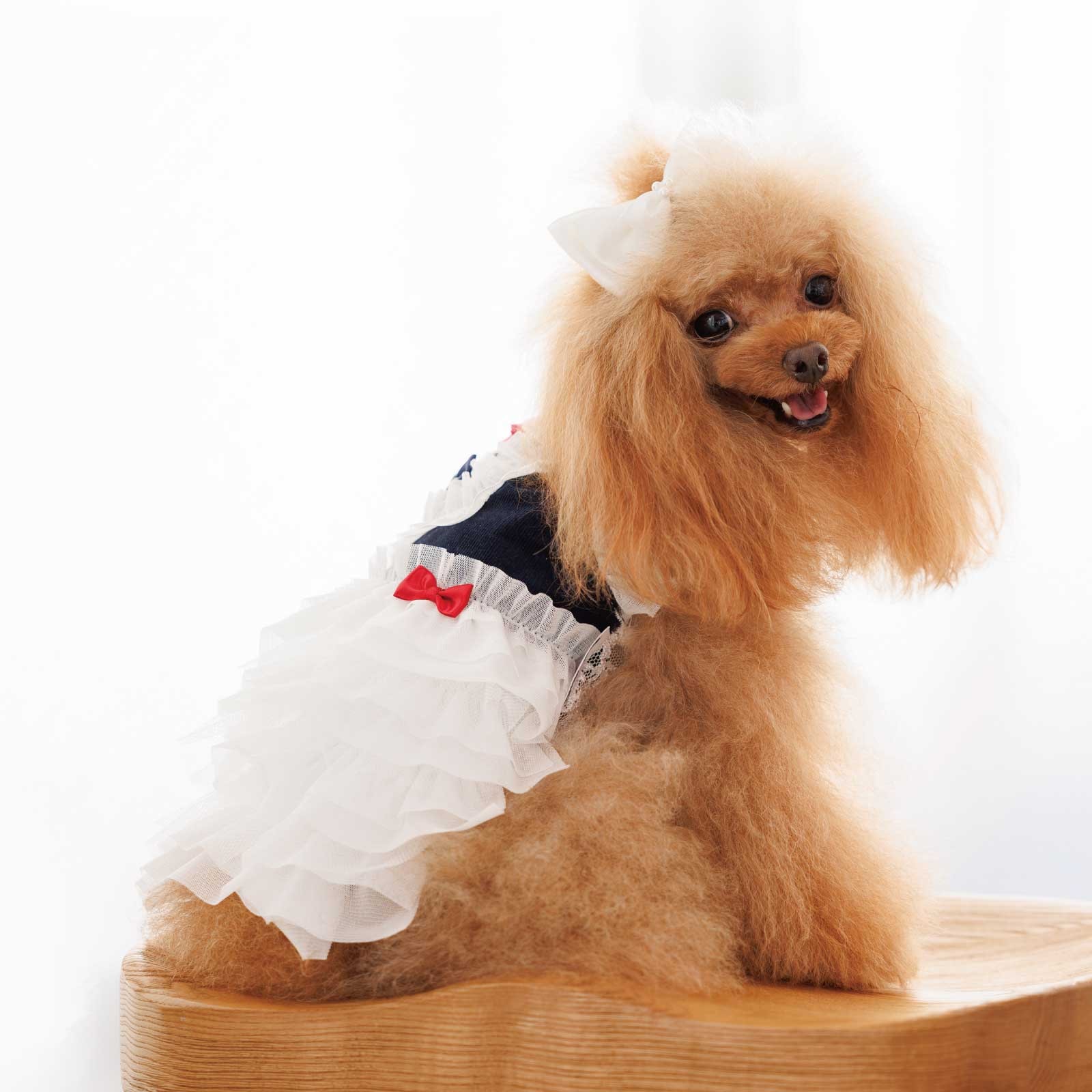 犬のドレス専門店 通販 mimimerry(ミミーメリー) 特許取得 変化するドレス