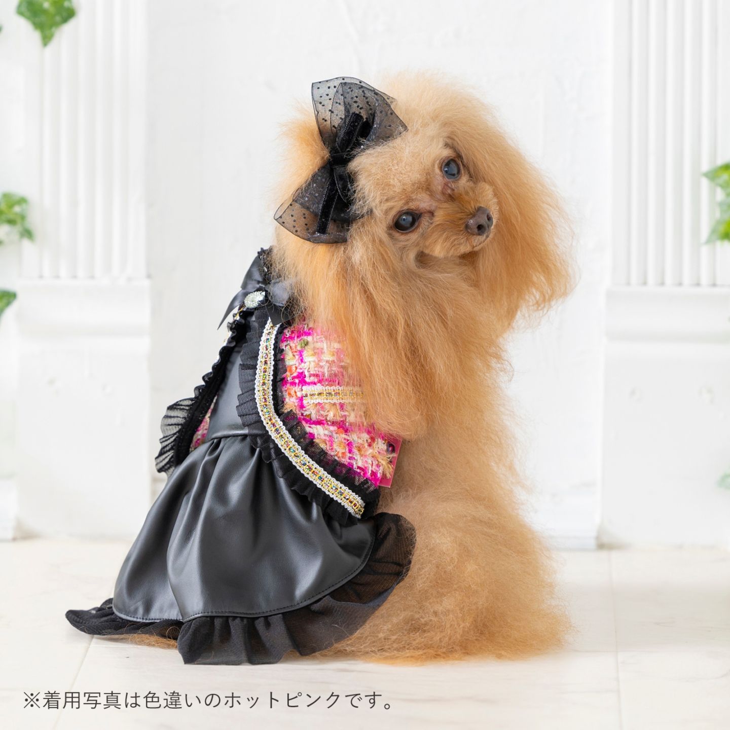 数量限定】ブランド初となる王子服 XSサイズ