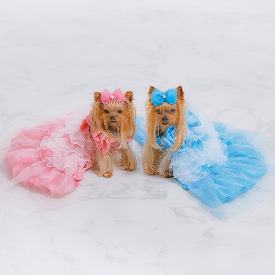 犬のドレス専門店 通販 mimimerry(ミミーメリー) 特許取得 変化するドレス