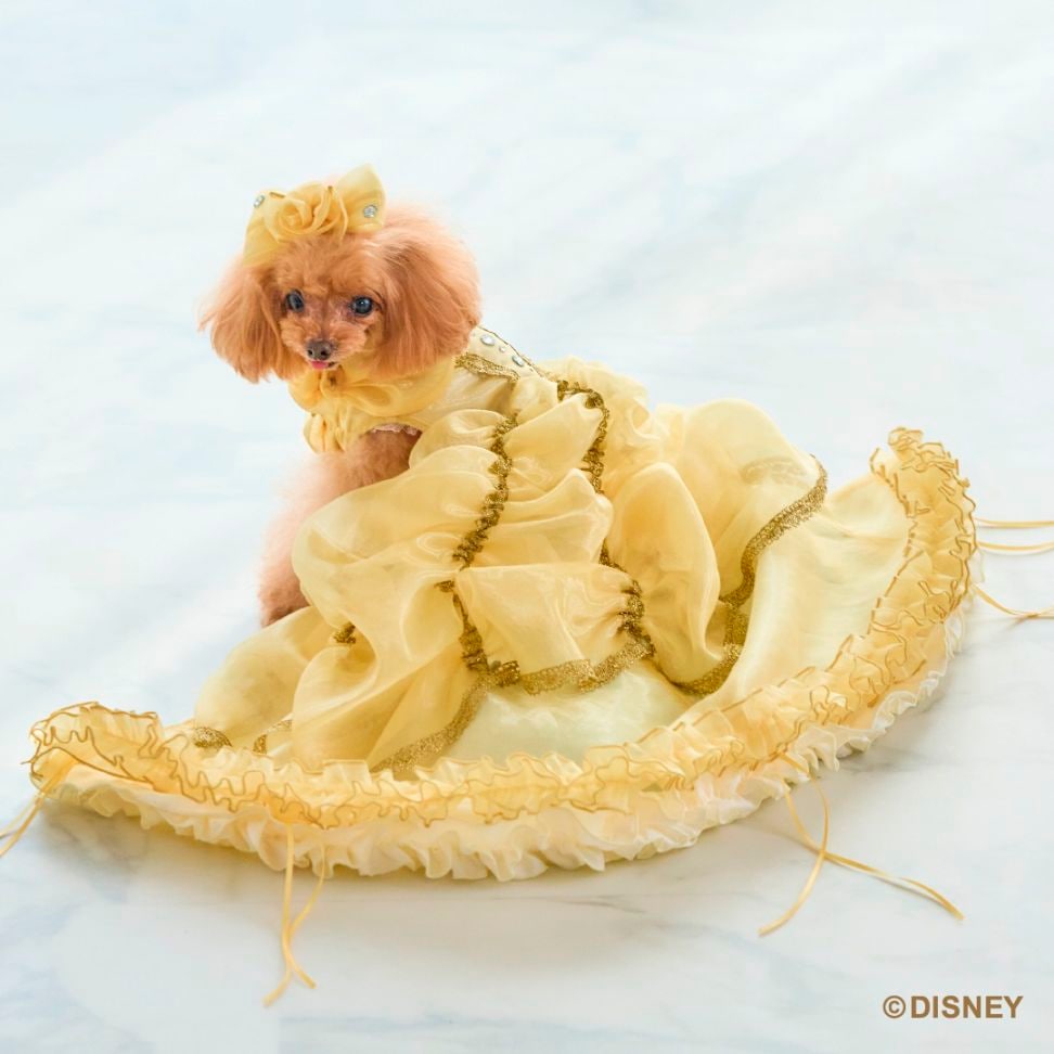 犬のドレス専門店ならmimimerry(ミミーメリー) 変身するドレスで特許取得