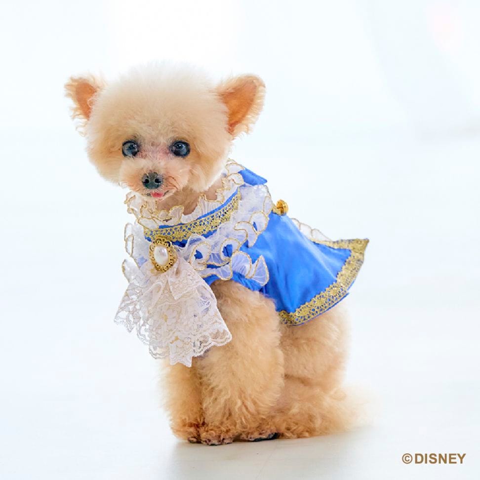 犬のドレス専門店ならmimimerry(ミミーメリー) 変身するドレスで特許取得