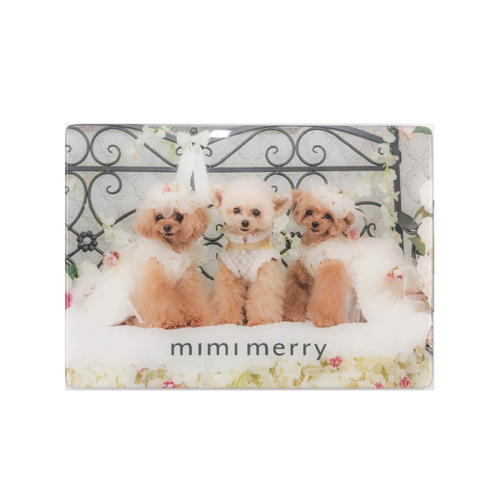 犬服・アクセサリー MIMI Amazon.co.jp: 犬用ヘアクリップ - ちょんまげのグルーミング