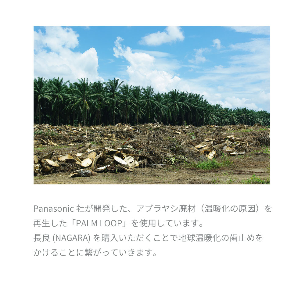 (B)4-008��WH��S��Ĺ�� Nagara