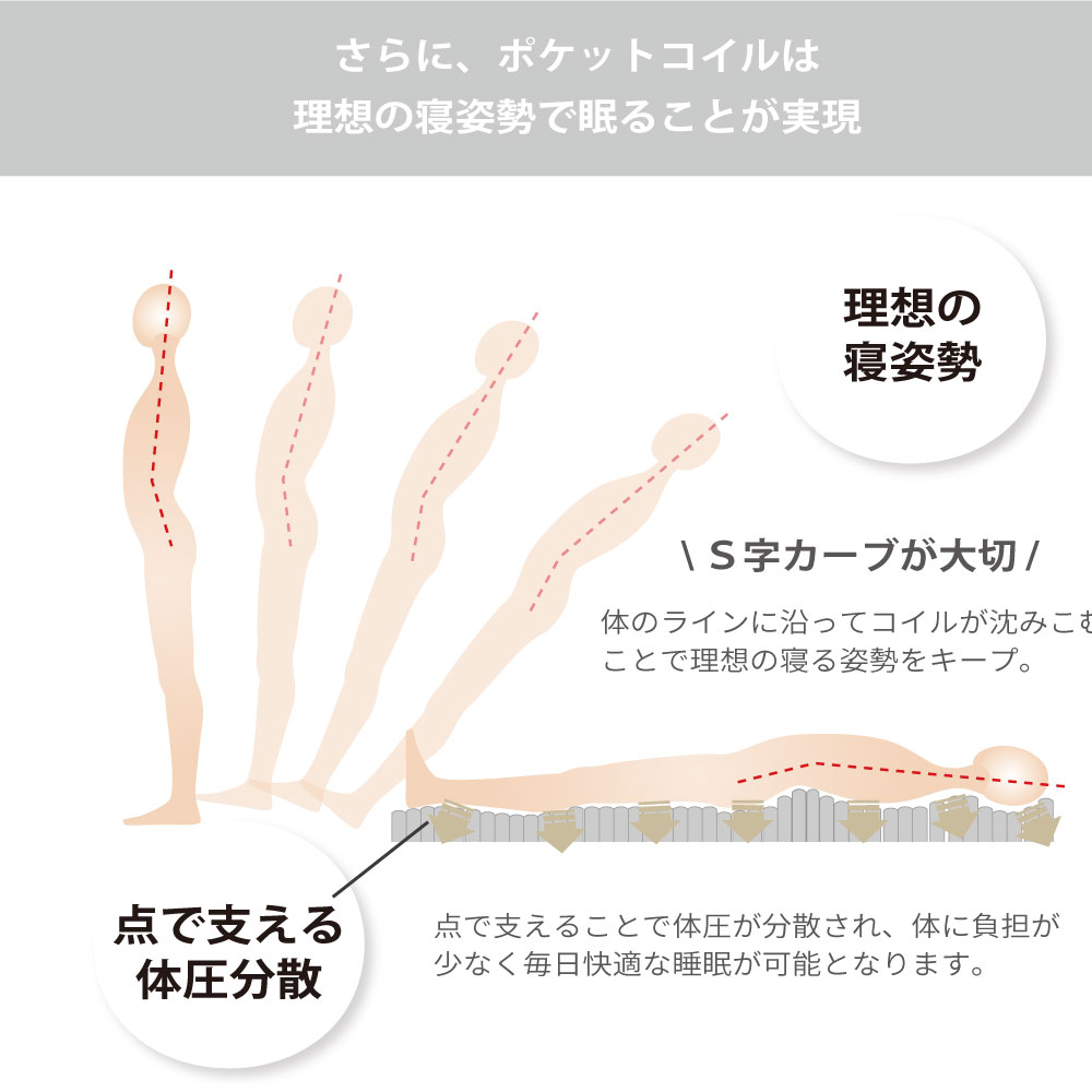 ���󣴣�����νв�(B)������P645 ���ʎ����ގڎ��Ď�BK   �񻺎ώ���K��180���� �쥮��顼