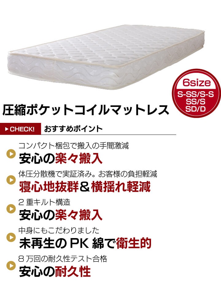 (B)TCB282B(�̾凉�Υ��� SD ��ێ���P 