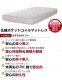 (B)TCB282B(�̾凉�Υ��� SD ��ێ���P 