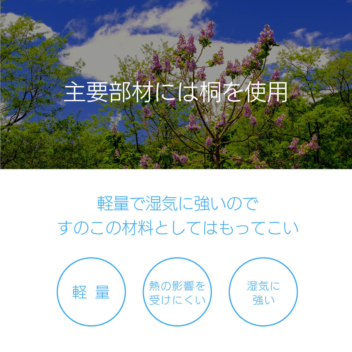 (B)�ێ��َ��Ɏ� S ��������ͽ����ʸʬ