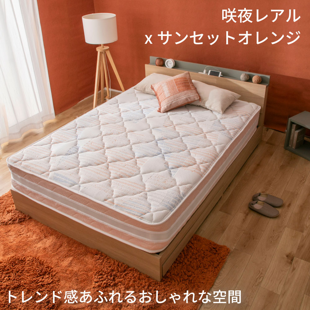 (B)4-005��IV D  �̎ڎ���