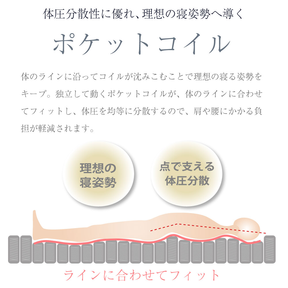 ���󣴣�����νв�(B)������P762��WD������No way�����㥹�ȡʥ쥮��顼�˥�������