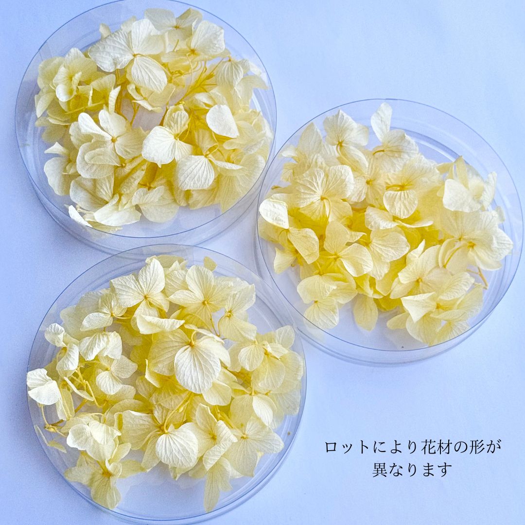追加商品画像