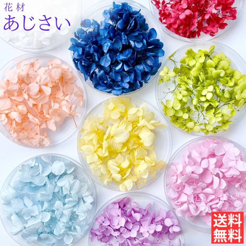 ハーバリウム 花材 あじさい ブリザーブドフラワー 中身が見えるクリアケースに入っています 横浜ハーバリウム弐番店
