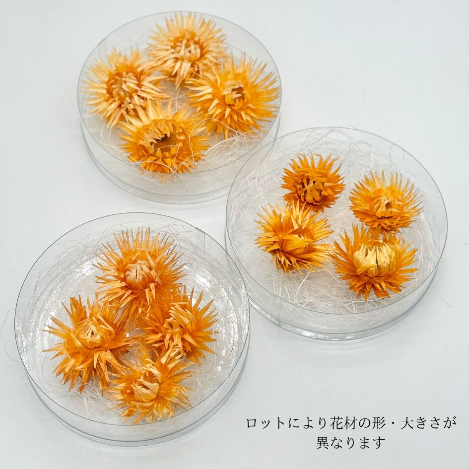 追加商品画像
