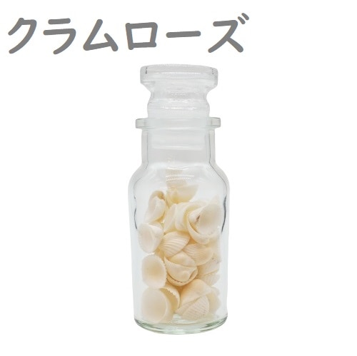 追加商品画像