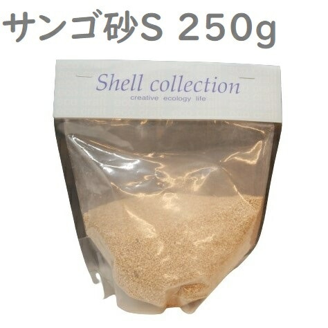 追加商品画像