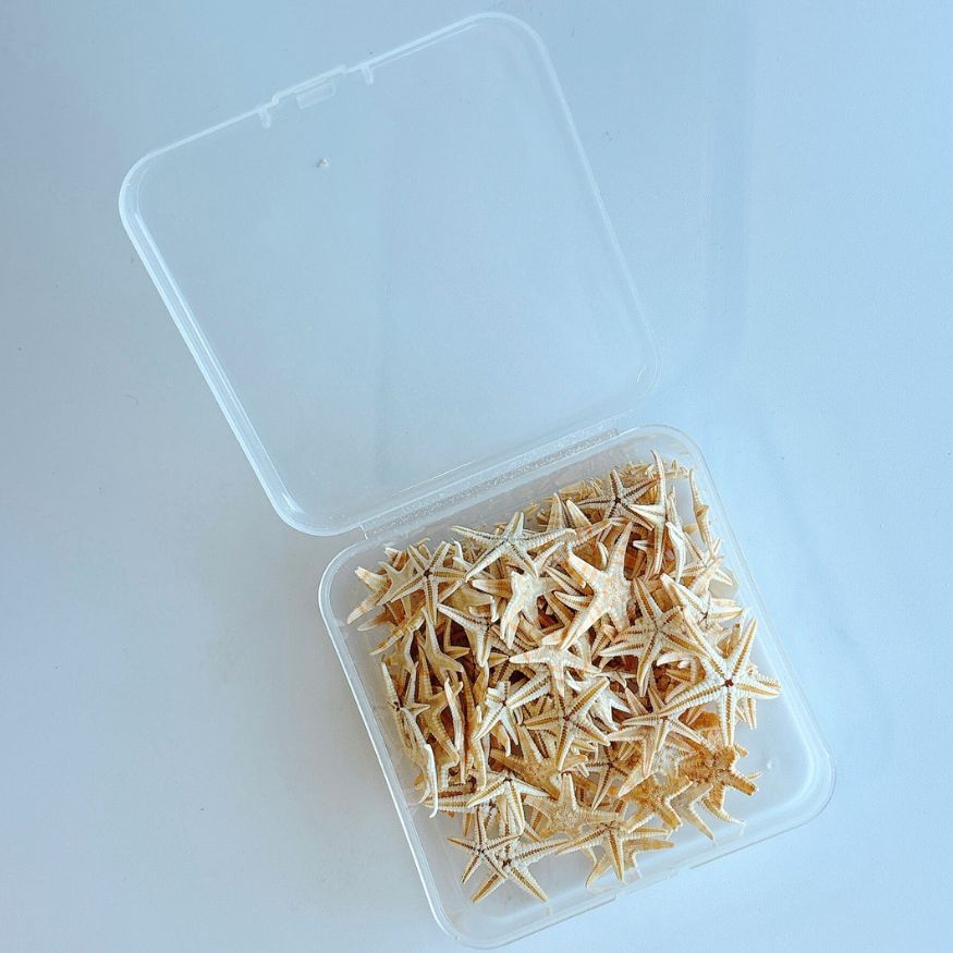 レジン　ハンドメイド　981 41YqN8Oy7uL._AC_SY200_QL15_.jpg