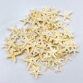 テクスチャ材 ヒトデ レジンアートやハーバリウムの作成に使います
