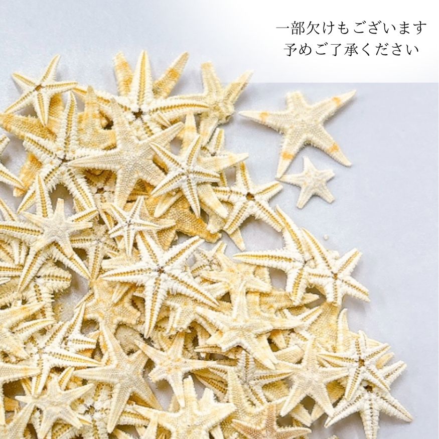 追加商品画像