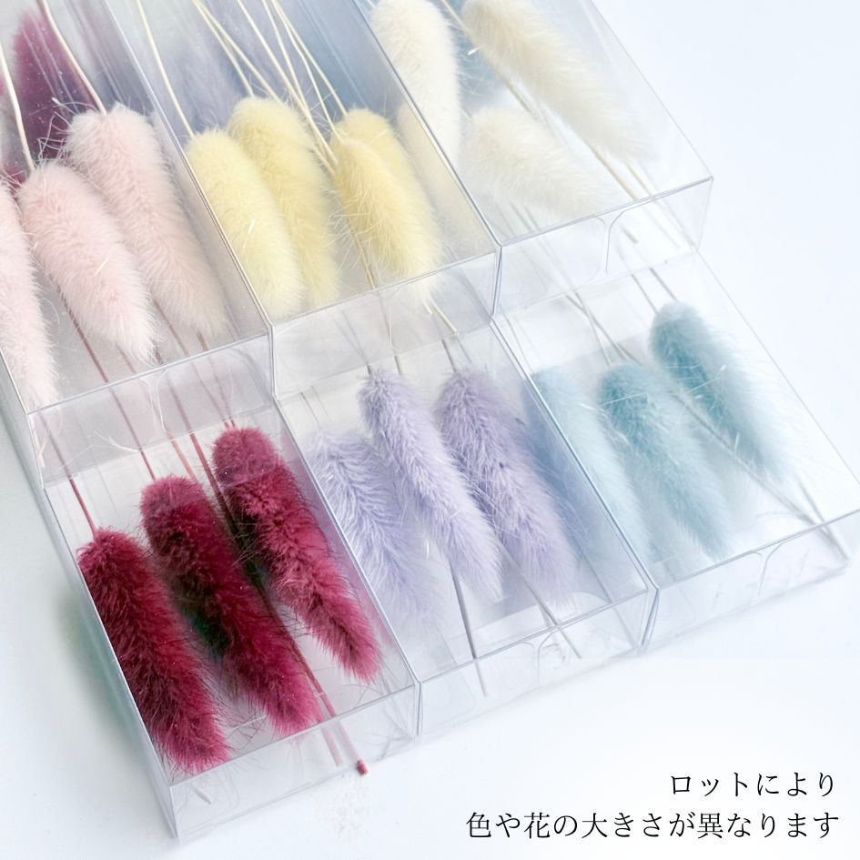 追加商品画像