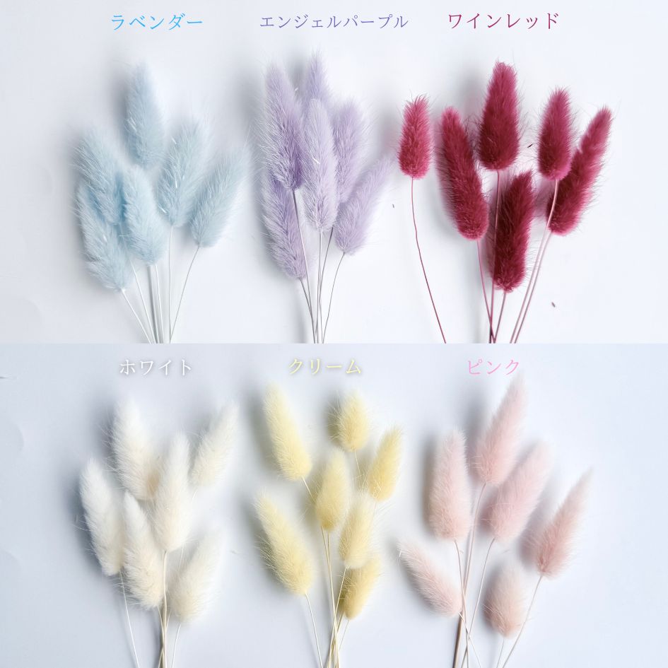 追加商品画像
