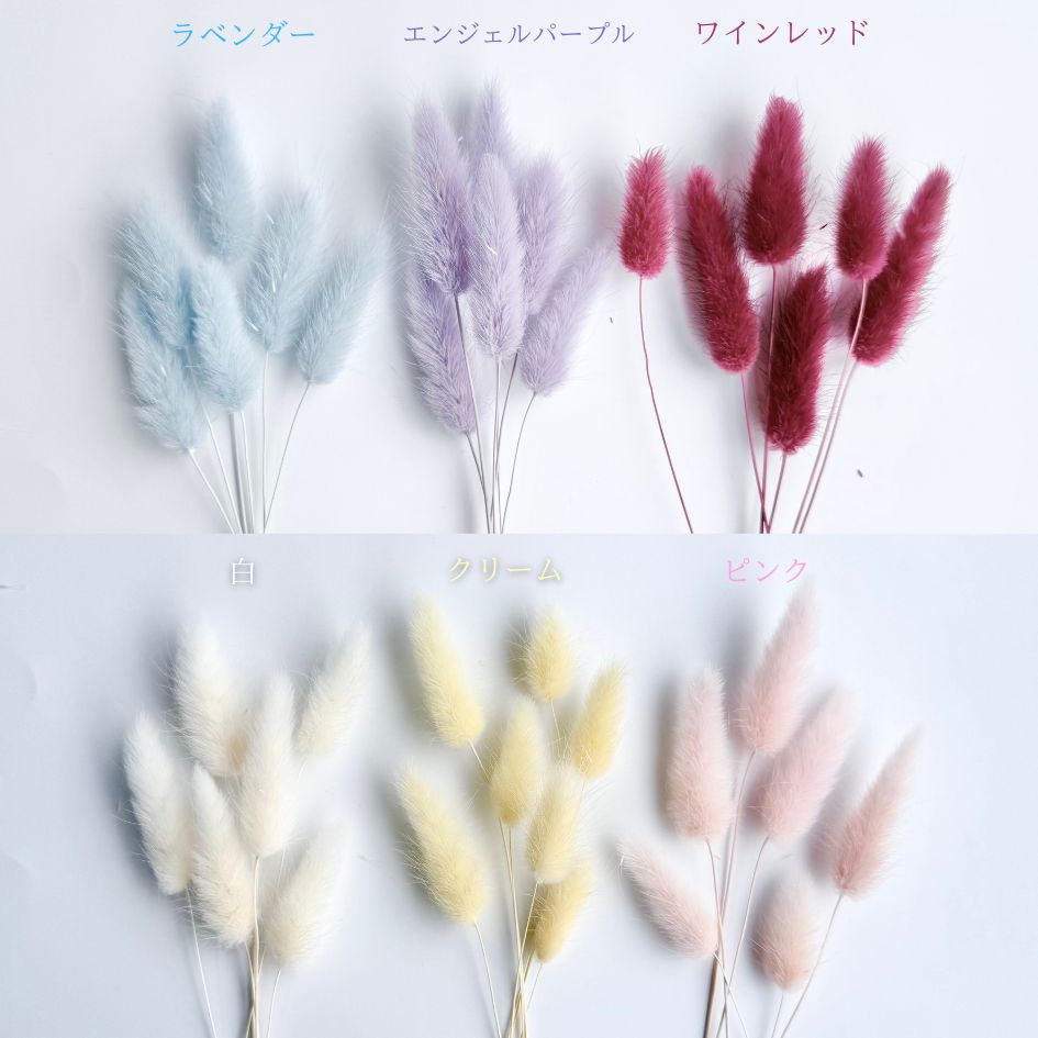 追加商品画像