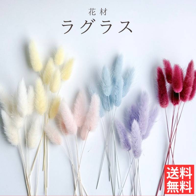 ハーバリウム 花材 ラグラス ブリザーブドフラワー 中身が見えるクリアケースに入っています 横浜ハーバリウム弐番店