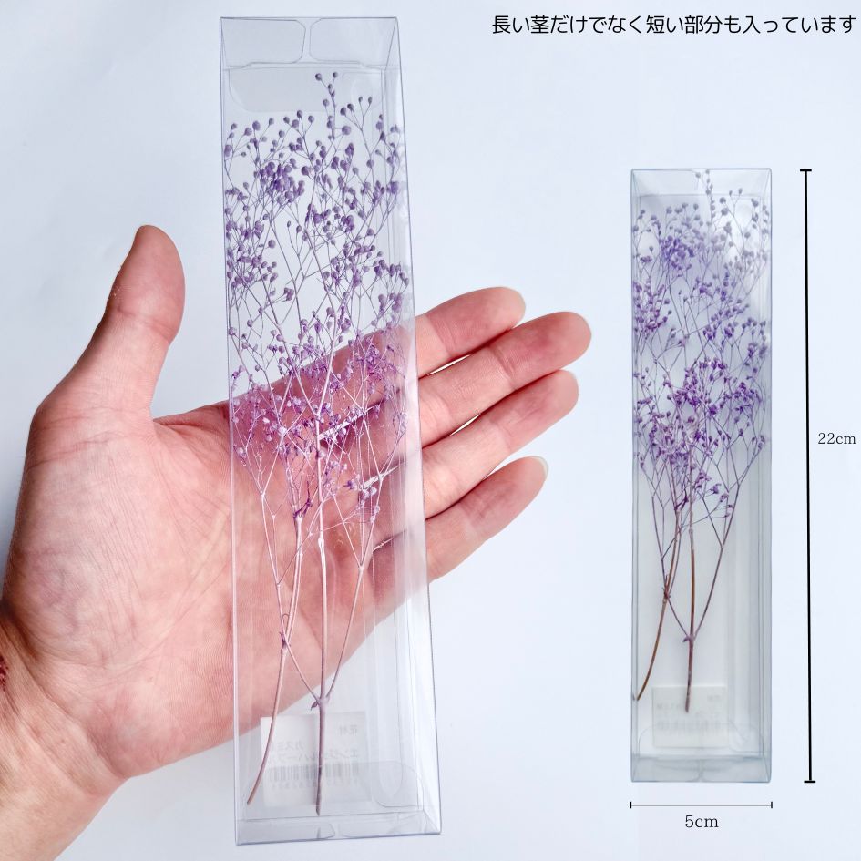 追加商品画像