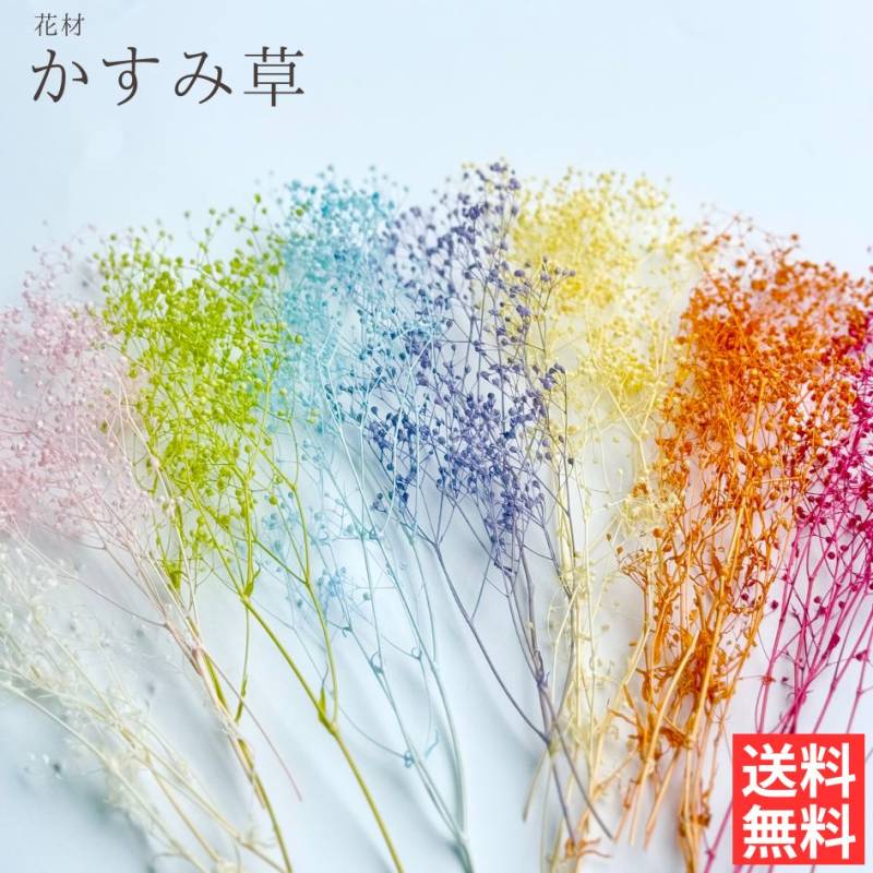 ハーバリウム 花材 カスミ草 ブリザーブドフラワー 中身が見えるクリアケースに入っています 横浜ハーバリウム弐番店